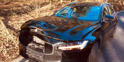 Aktuálně: Jelen nepřežil srážku s autem