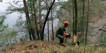 Ochránci přírody zachraňují u Vltavy vzácné motýly a brouky