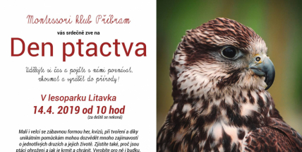 Chcete vidět dravce? Stačí zajít do lesoparku