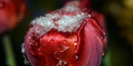 Co nás čeká a nemine v nejbližších dnech