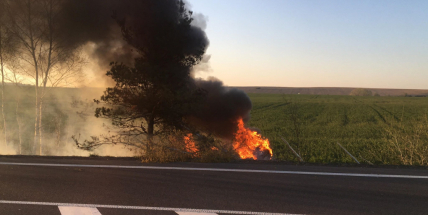 Video: Po nárazu do stromu skončilo auto v plamenech