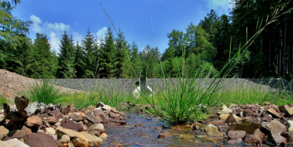 V Brdech se čeká na dotace pro nové nádrže a rybníčky