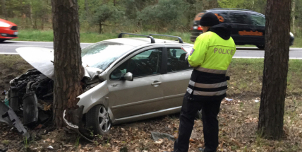 Auto narazilo do stromu, vážně zraněnou řidičku transportovala záchranka do nemocnice
