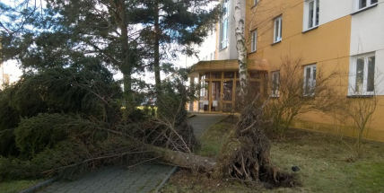 Vítr zaměstnává hasiče i policisty
