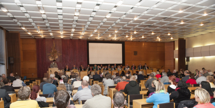 Zastupitelstvo se koná za 14 dní, mělo by mít maximálně 20 bodů