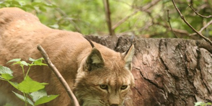 Je to kluk a jmenuje se Fabián