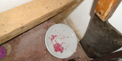 Na zemi myší trus, v lednici prošlé potraviny