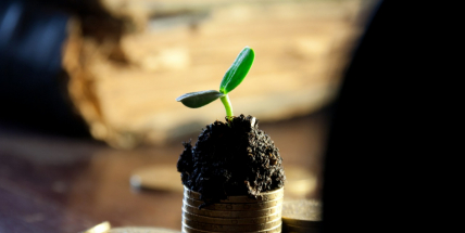 Konec hlasování v participativním rozpočtu se blíží