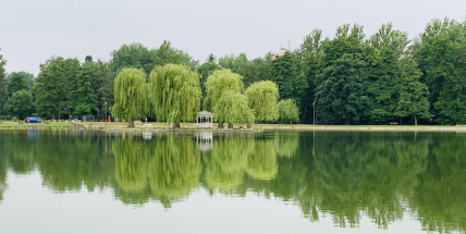 Příbram řeší, jak zlepšit kvalitu vody v Novém rybníku