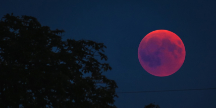 Přichystejte dalekohledy, čeká nás astronomická šou