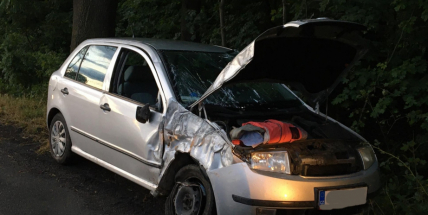 AKTUÁLNĚ: Namol opilý řidič zdemoloval auto o sloup. Když odcházel z místa nehody, vylekal dalšího řidiče, který narazil do stromu