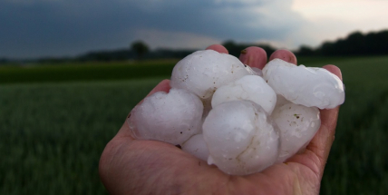 Pojišťovny: Červencové bouře způsobily škody téměř za miliardu