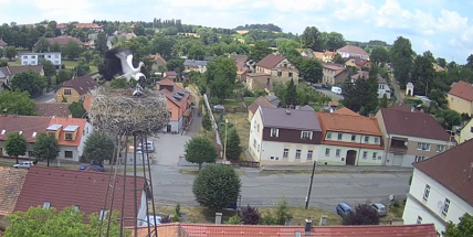 Čápata v Milíně už trénují létání