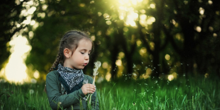 Město Příbram omezilo sekání trávy v době velkých veder