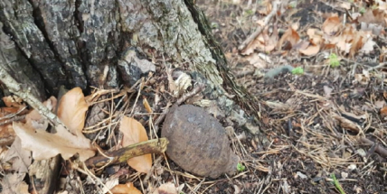 Nález nevybuchlé munice v CHKO Brdy