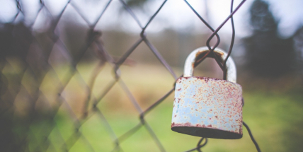 Kvůli nákupu a oplocování pozemků zanikají polní cesty a pěšiny