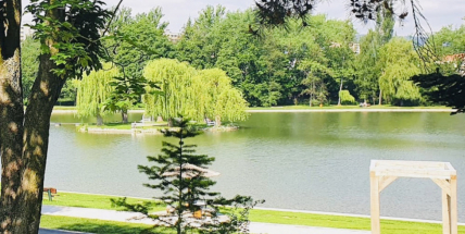 Na Novém rybníce byl zaznamenán vyšší obsah sinic