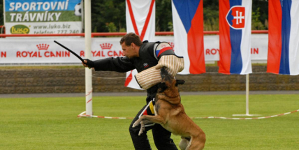 Mezinárodní kynologický festival CACIT Dobříš 2019