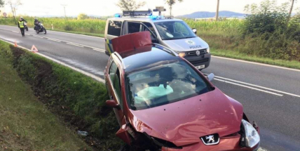 Řidička peugeotu se lekla psa, strhla řízení a zdemolovala auto