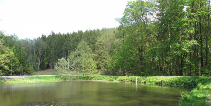 Kvalita vody ve středočeských koupalištích zůstává dobrá