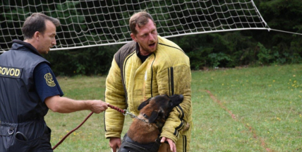 Psovodi z příbramské věznice navštívili dětské tábory