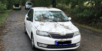 Na auto spadl strom, posádka vyvázla bez zranění