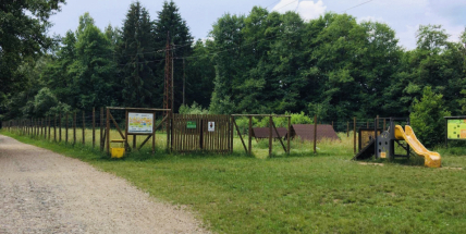 Příbram chce vytvořit psí park v lesoparku Litavka