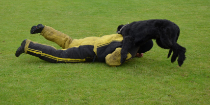 Dobříšský fotbalový stadion obsadily složky Integrovaného záchranného systému
