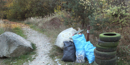 Bezděkovský lom: Vzácní čolci tu žijí mezi odpadky