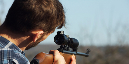 VLS snižují stavy zvěře. Kvůli ochraně obnovených lesů