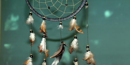 Svodka událostí: Odcizil lapač snů, paroží a půl platíčka léků na bolest hlavy