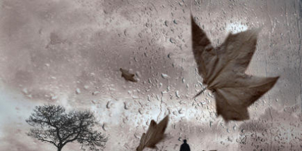 Víkend proprší, v noci začne mrznout