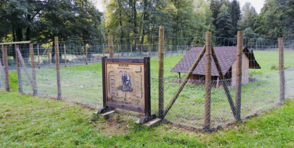 Chov ovcí skončil, lidé je postupně pozabíjeli. Město na místě buduje psí výběh