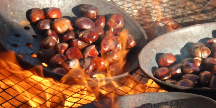 Pečené kaštany jsou nejen pochoutkou, ale také zdrojem vitamínů