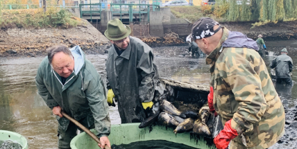 Rybáři vylovili z Dolejší Obory přes dvě tuny ryb. Nechyběly ani štiky