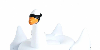 Při vykrádání aut odcizili labuť a růženec