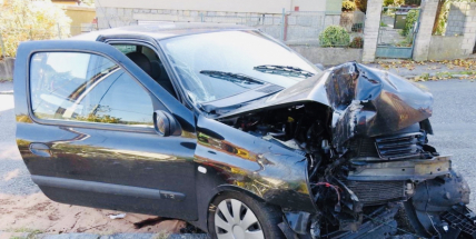 Vyhýbala se kočce, povalila kontejner a zdemolovala Renault