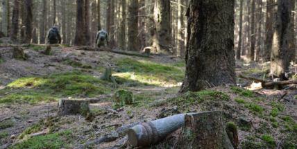 Pyrotechnická očista v Brdech: Škála nalezené munice je pestrá