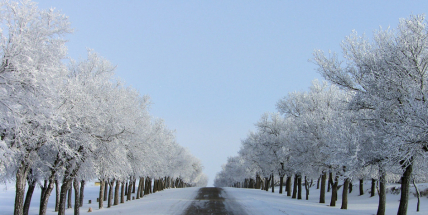Meteorologové vydali varování před ledovkou, hrozí problémy v dopravě