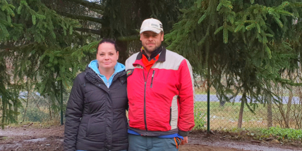 Letošní vánoční strom vyrostl v Oborách, měří patnáct metrů