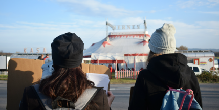 V Dobříši se protestovalo proti drezuře zvířat v cirkusech