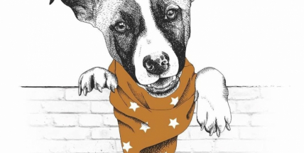 Příběh velké psí lásky představí v domě Natura