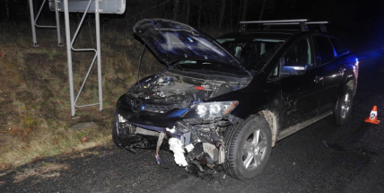 Divoké prase vběhlo před projíždějící auto, řidič skončil v nemocnici