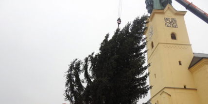 Příbramské náměstí ode dneška zdobí vánoční strom