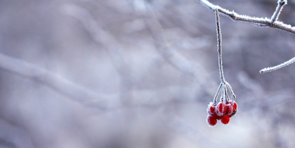 Užijte si nadprůměrně teplý týden. S příchodem adventu se ochladí