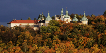 Příbram chystá inventuru stromů
