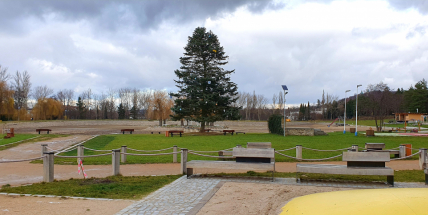 Adventní Novák: Pět malých a jeden velký vánoční strom