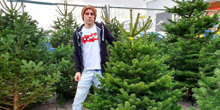 Vánoční stromek pořídíme za tři stovky, ale také za patnáct set