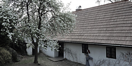 Kapr na černo, dobré pivo, pocukrované vařené sušené hrušky a švestky. Tak vypadala hornická štědrovečerní večeře