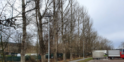 Flusárna se probrala ze tmy